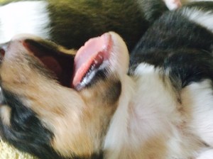 01d9c4fa627f8c328b1fa032ca23ed5b5d50a19775