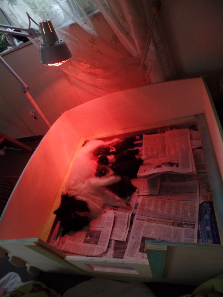 SAMSUNG CAMERA PICTURES