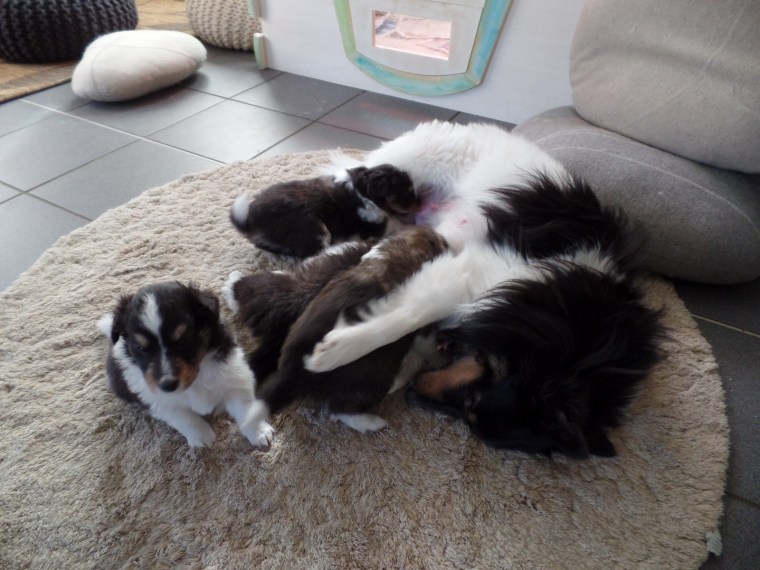 SAMSUNG CAMERA PICTURES