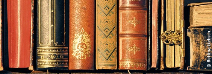 cropped-titelbild_04131