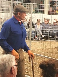 490650d9-64e8-40e9-8607-eeb6709338eb (2)