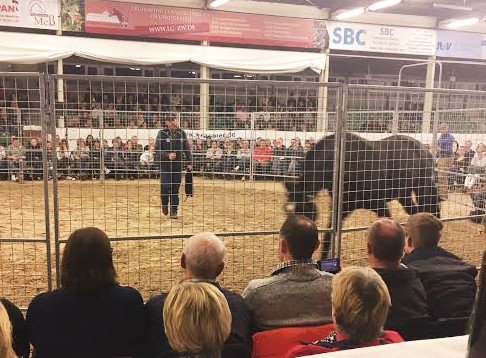 Join up, Monty Roberts