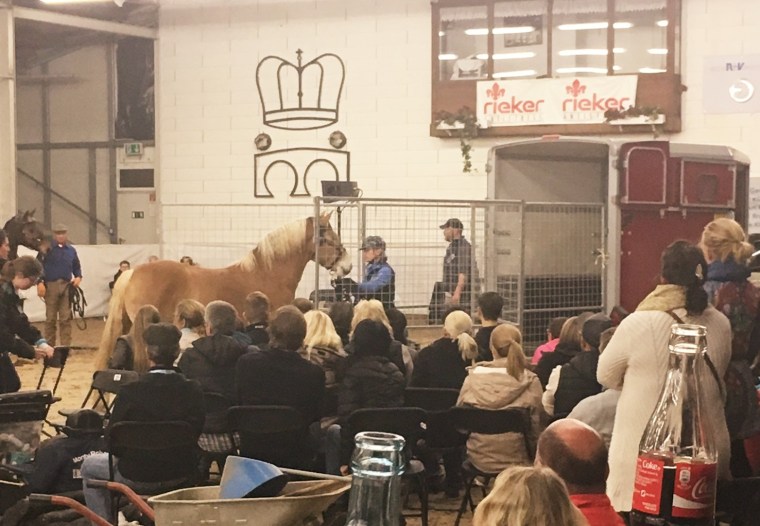 Verladen, Monty Roberts