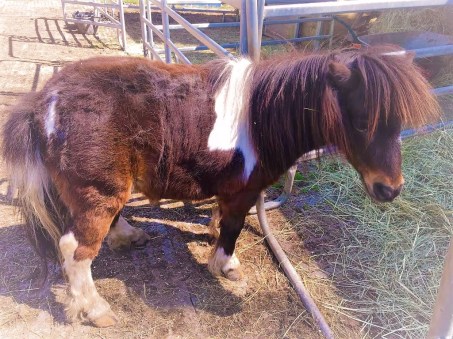 9499066a-c743-412c-be8e-7b099e3de0e3