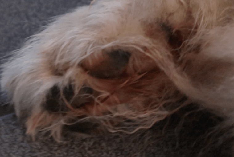 Bildschirmfoto 2018-09-04 um 16.53.46