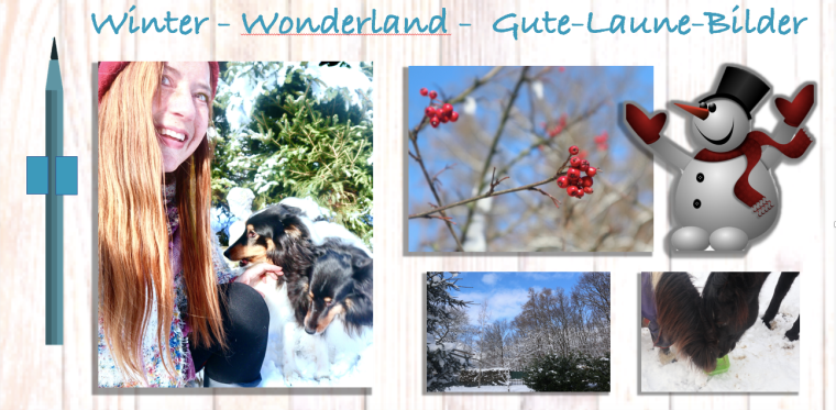 Bildschirmfoto 2019-02-01 um 08.30.43