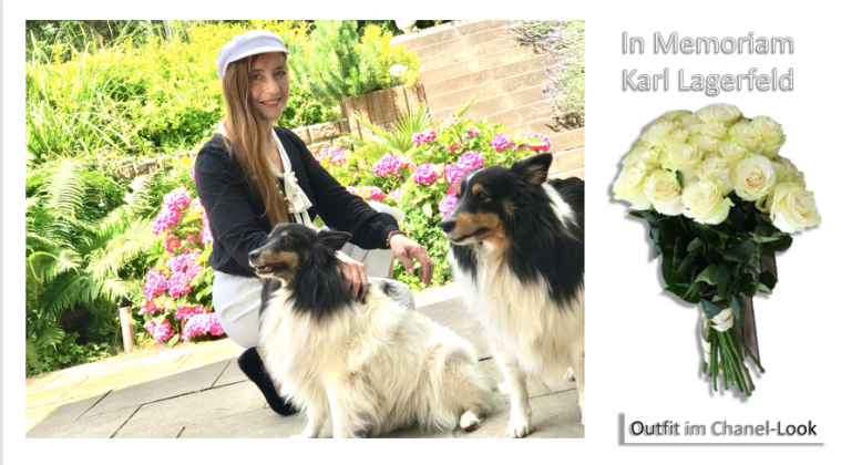 Bildschirmfoto 2019-02-26 um 23.21.58