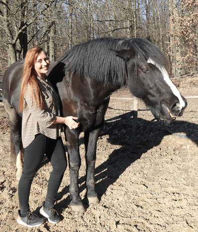 Bildschirmfoto 2019-03-06 um 05.55.31