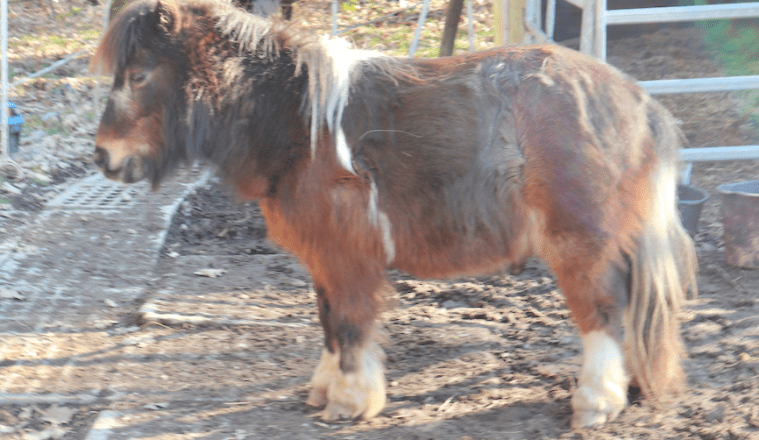 Bildschirmfoto 2019-03-06 um 05.59.41