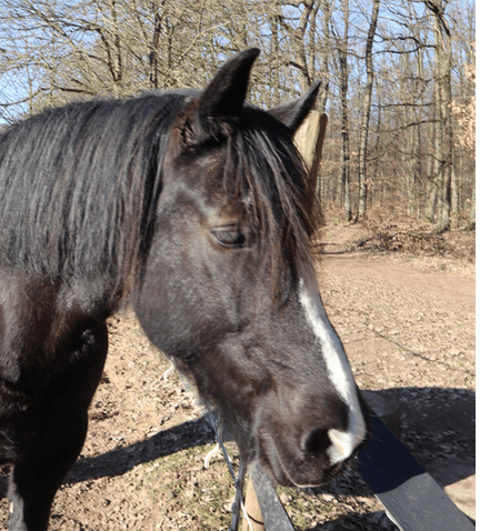 Bildschirmfoto 2019-03-06 um 06.01.33