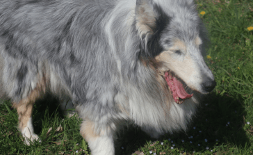 Bildschirmfoto 2019-04-16 um 21.09.23