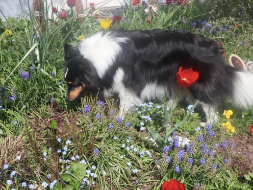 Bildschirmfoto 2019-04-16 um 22.11.18