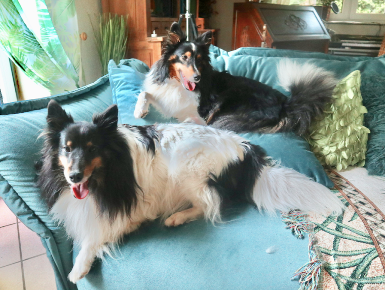 Bildschirmfoto 2019-06-06 um 18.26.51