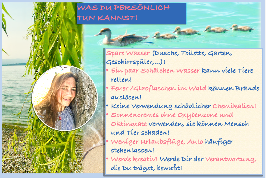 Bildschirmfoto 2019-07-25 um 23.36.40.png