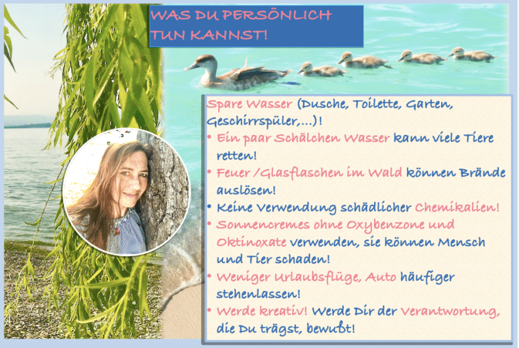 Bildschirmfoto 2019-07-25 um 23.36.40.png