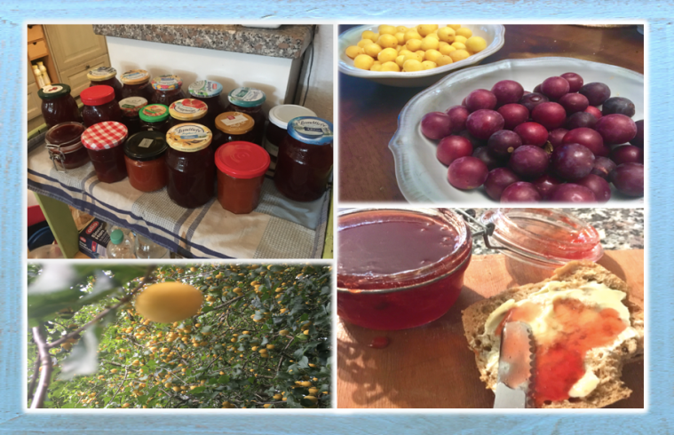 Bildschirmfoto 2019-08-19 um 01.44.12