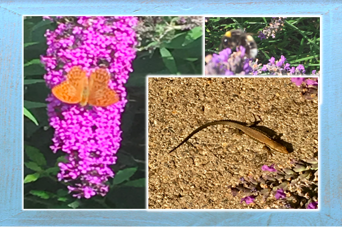 Bildschirmfoto 2019-08-19 um 11.11.01