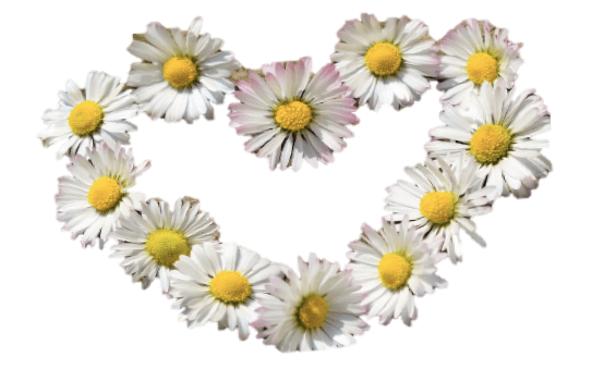 Bildschirmfoto 2019-08-19 um 11.36.36