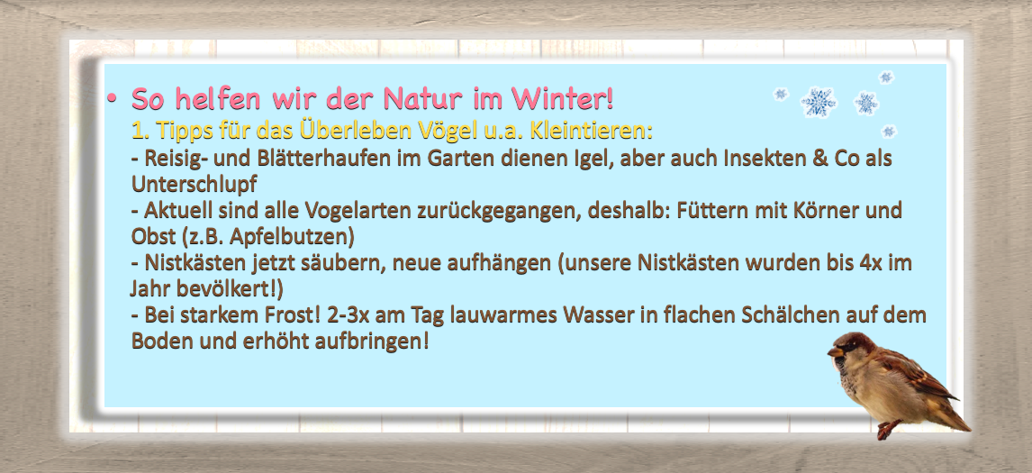 Bildschirmfoto 2019-11-25 um 18.12.12