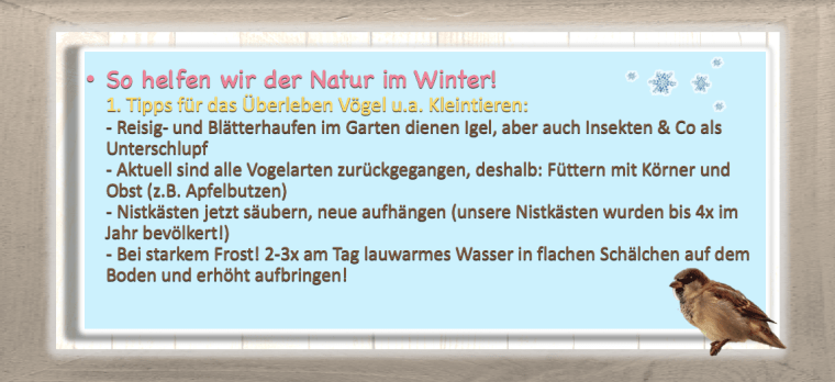 Bildschirmfoto 2019-11-25 um 18.12.12