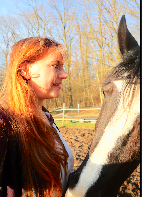 Bildschirmfoto 2020-03-21 um 18.01.12