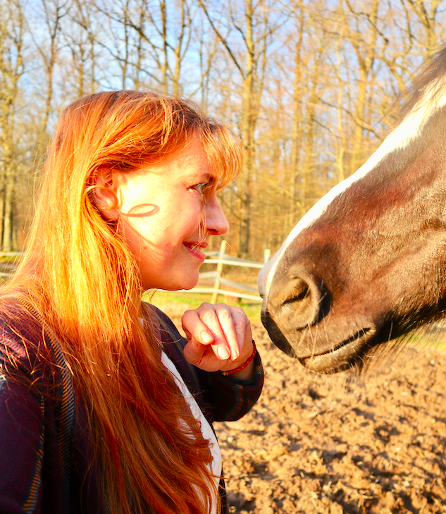 Bildschirmfoto 2020-03-21 um 18.42.02