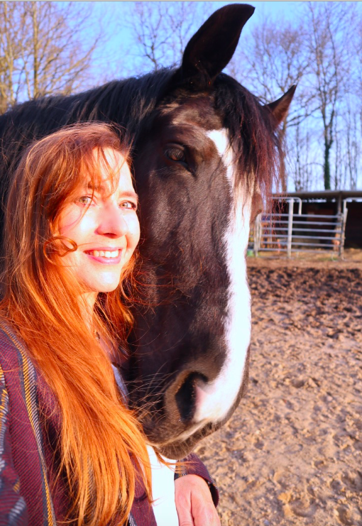 Bildschirmfoto 2020-03-22 um 12.41.44