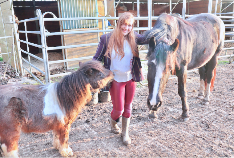 Bildschirmfoto 2020-03-22 um 13.35.20