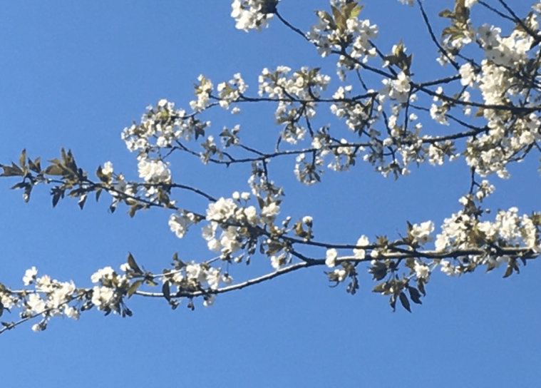 Bildschirmfoto 2020-04-10 um 20.10.03