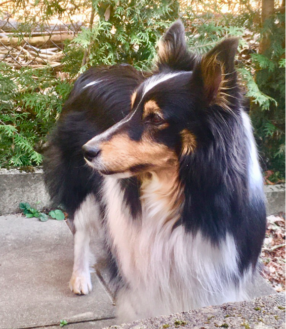 Bildschirmfoto 2020-04-10 um 20.10.38