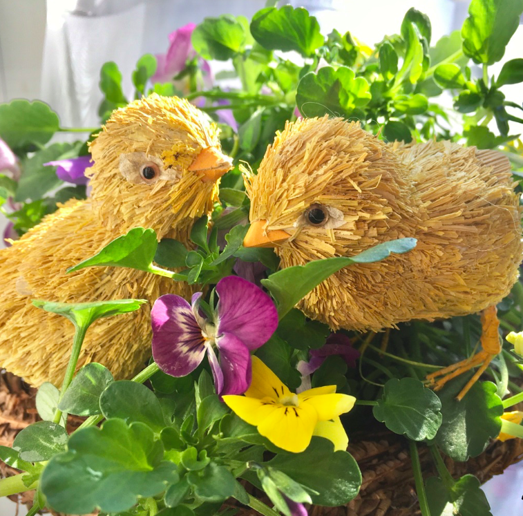 Bildschirmfoto 2020-04-10 um 20.11.38