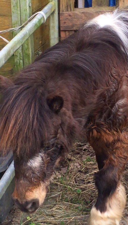 Bildschirmfoto 2020-04-10 um 20.12.12