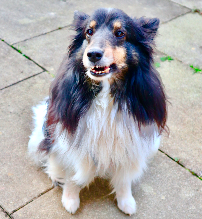 Bildschirmfoto 2020-04-10 um 20.16.14