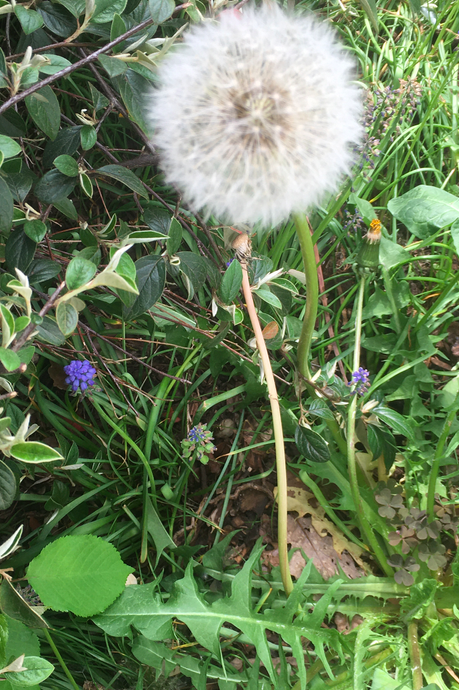 Bildschirmfoto 2020-04-17 um 11.59.32