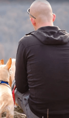 Bildschirmfoto 2020-05-02 um 01.47.56