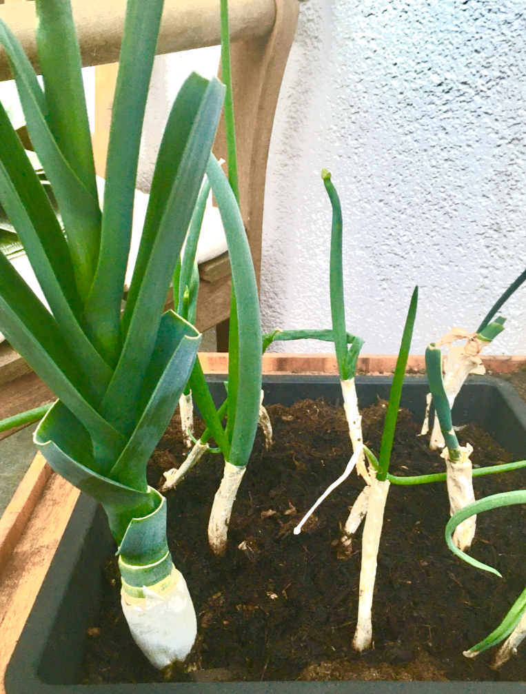 Bildschirmfoto 2020-05-17 um 21.14.05