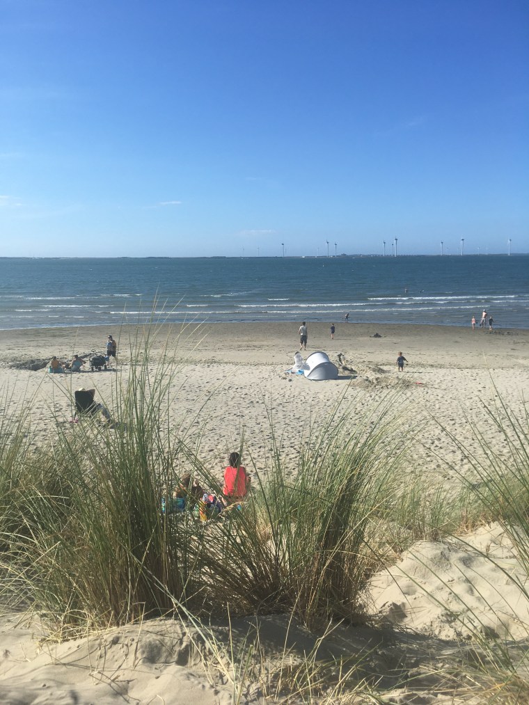 12454281-85F7-4298-821E-7B45C90B100D