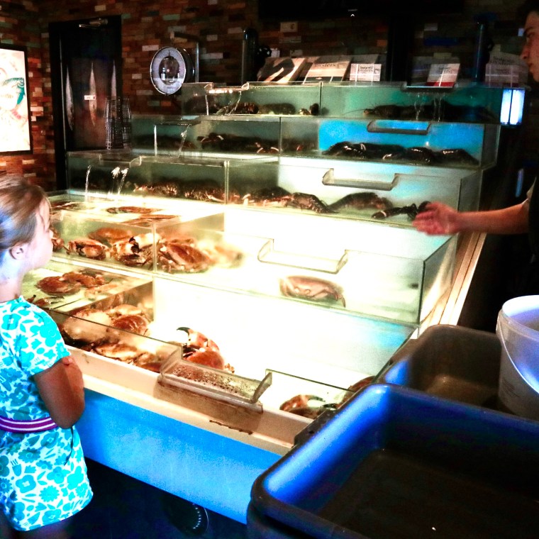 18C97F97-5409-4B52-958E-6FDE4E6AEE10_1_201_a