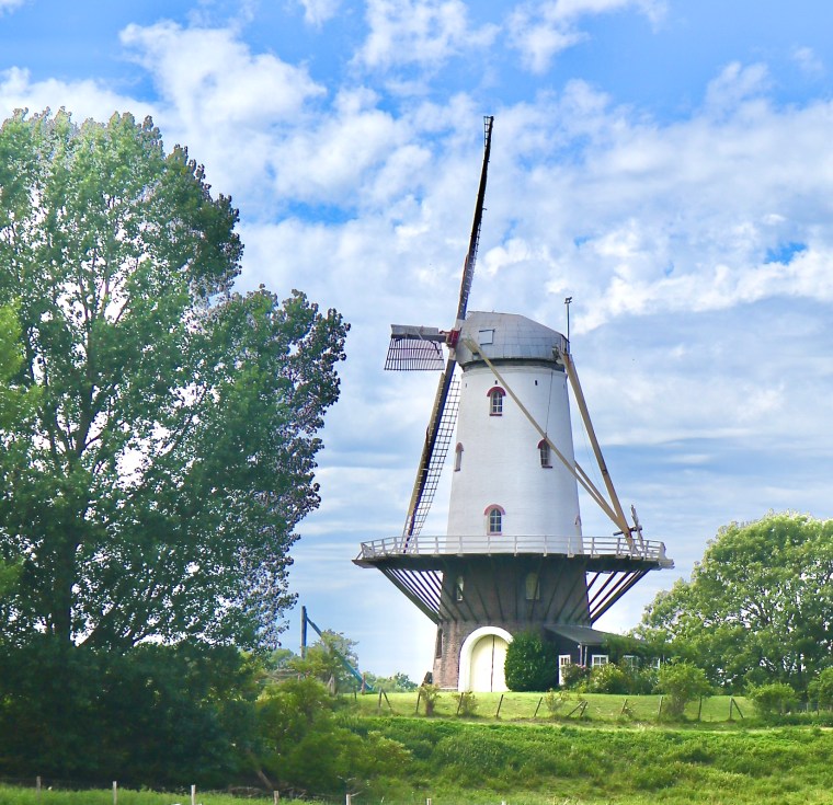 2B905B1F-9DF9-490A-97F8-3B0587990417_1_201_a