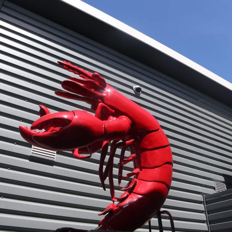 3EAA0DFA-CEDD-4799-A9AB-4517BD9D1CE5