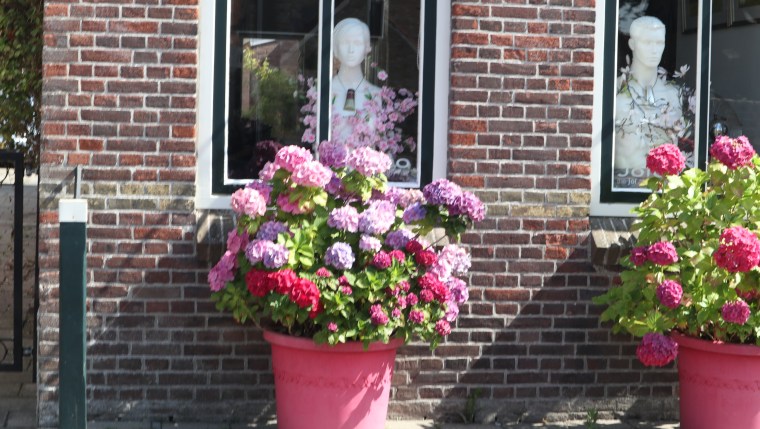 48FD6740-A6A5-4FC5-8118-558D4A161908