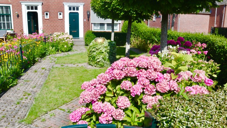 5C5D045E-F346-448B-9C16-4560C185D2B9_1_201_a