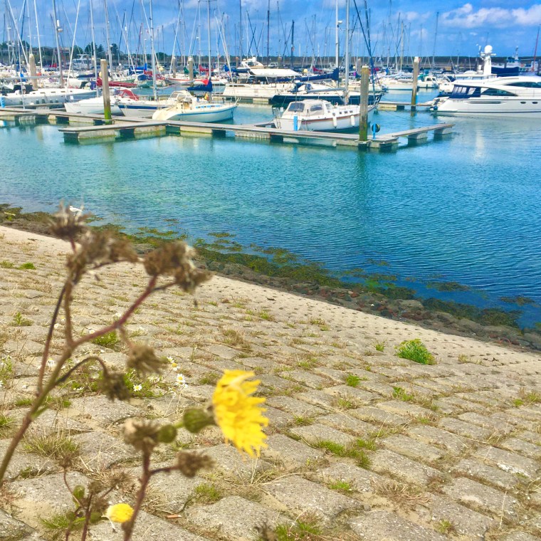 77D27A77-131E-4EB5-A459-4CA42F471363_1_201_a