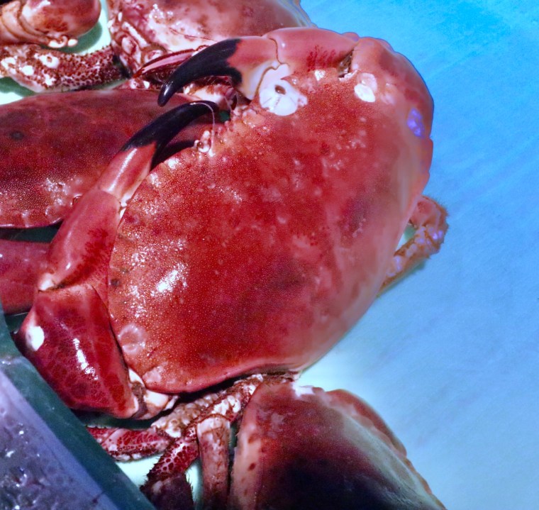 89D87598-BF94-43B6-A616-3052298873D3_1_201_a