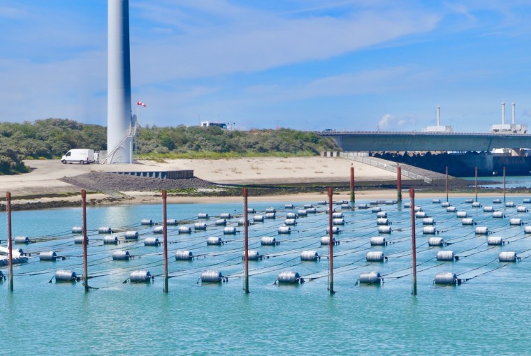 CE89303F-5E91-4AB1-BA1C-97F3D3DB4A31_1_201_a