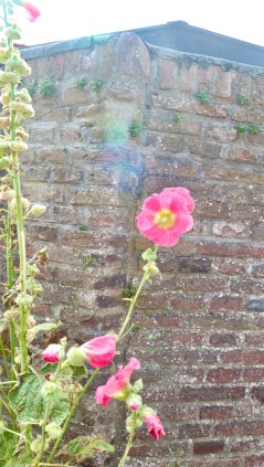 FA5F96F2-4C41-4233-827B-00D4EC4DCC2C_1_201_a