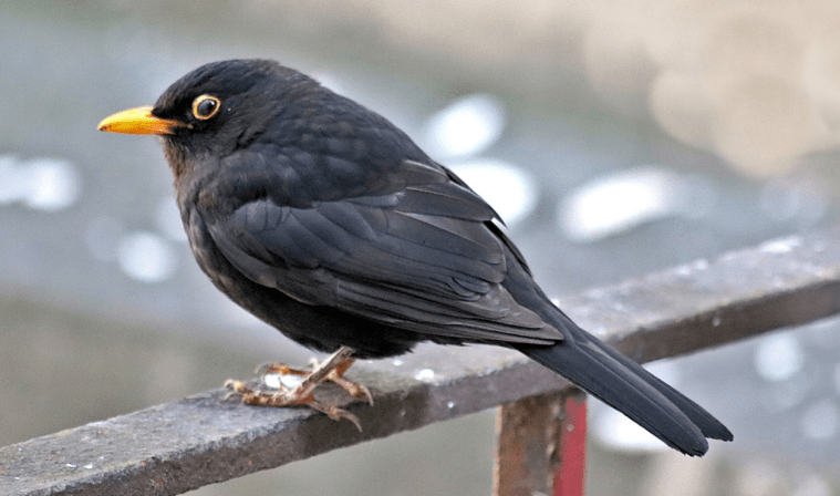 Bildschirmfoto 2020-08-09 um 12.18.59