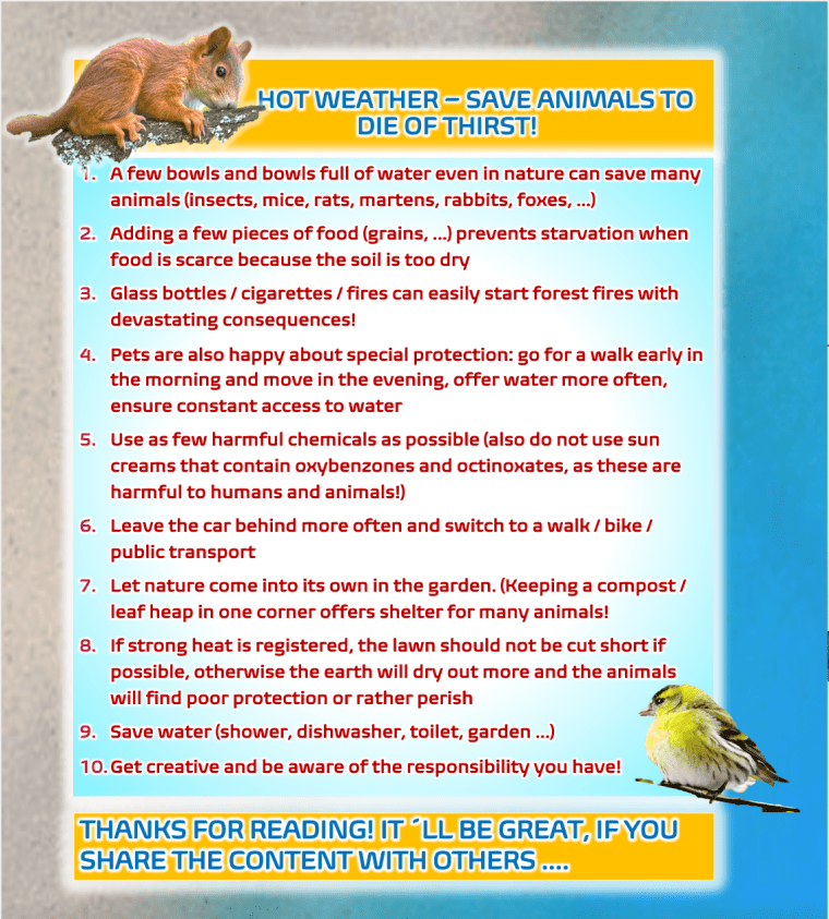 Bildschirmfoto 2020-08-09 um 13.17.23